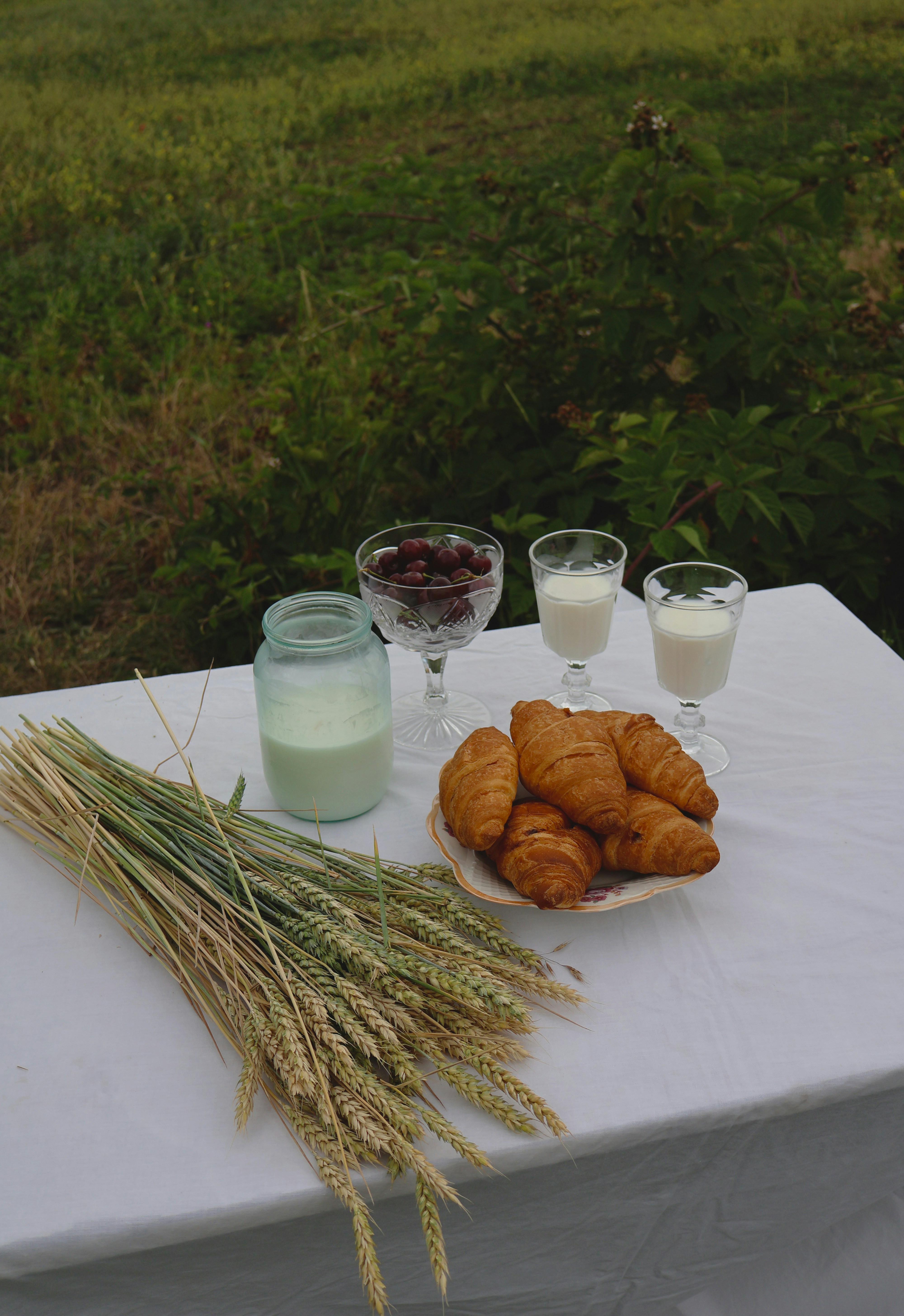 Agri-Tourism in Practice: What to Expect on a Masseria Stay