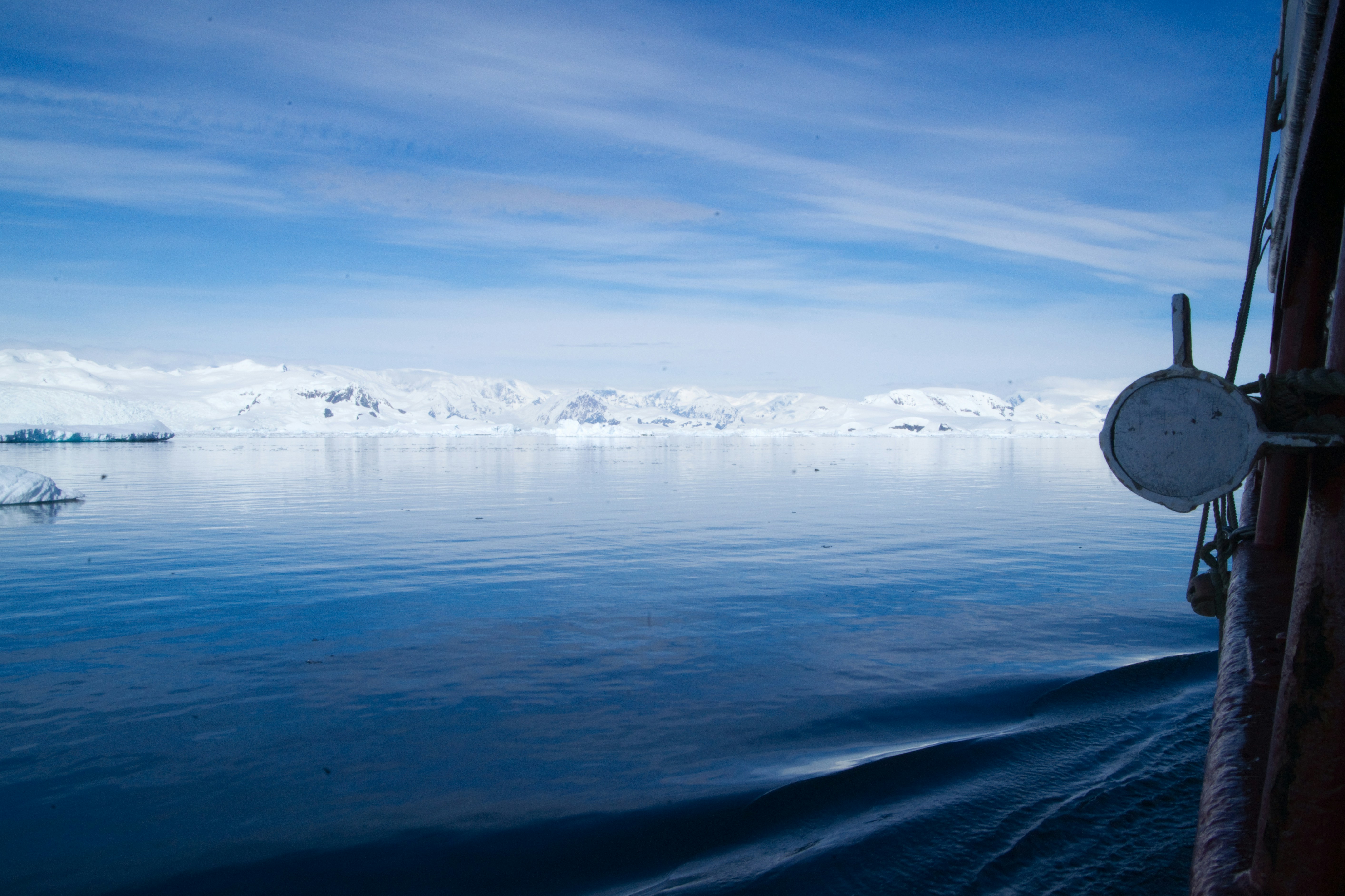 The Discovery That Changed Everything (image credits: unsplash)