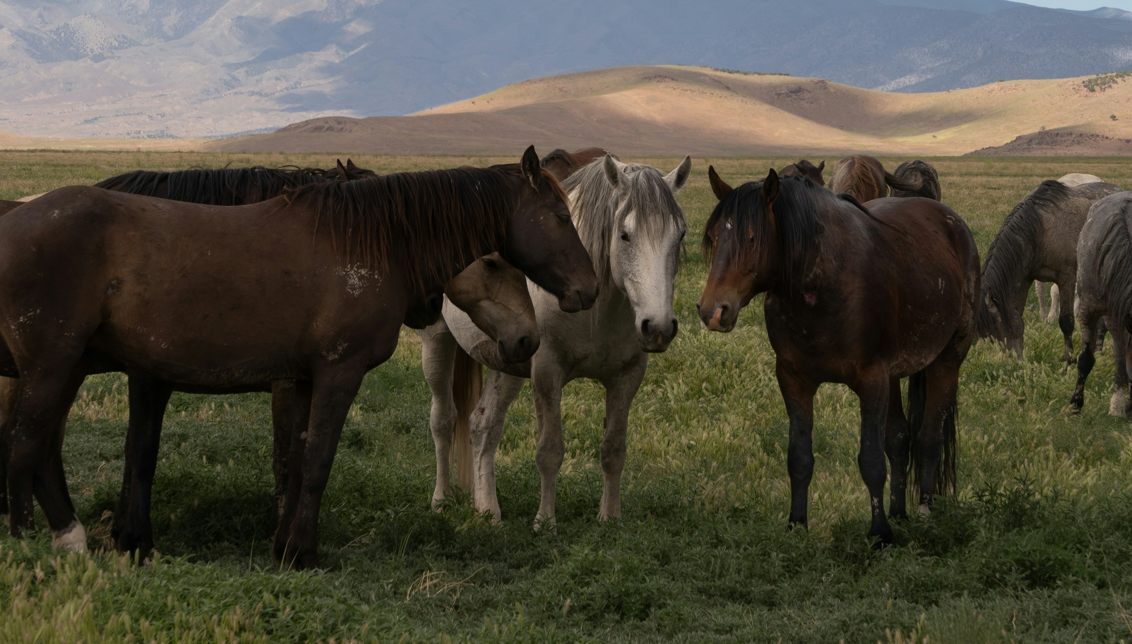 Photo by schnappi_76