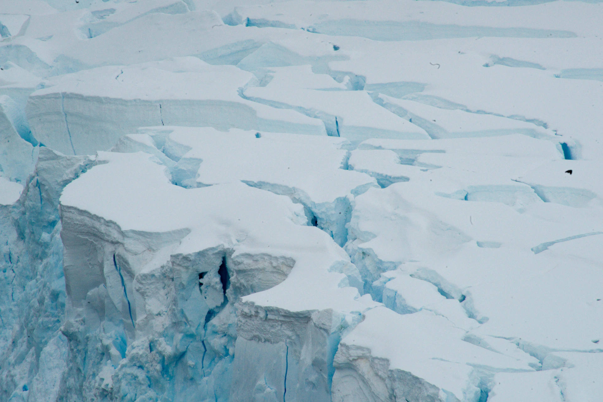a large iceberg with a bird flying over it