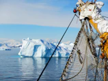 A majestic iceberg towering under a clear blue sky, with the expedition ship anchored nearby.