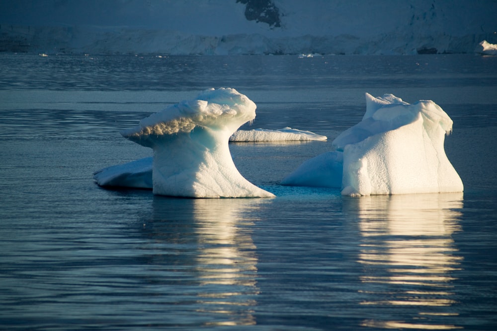 a couple of icebergs floating on top of a body of water