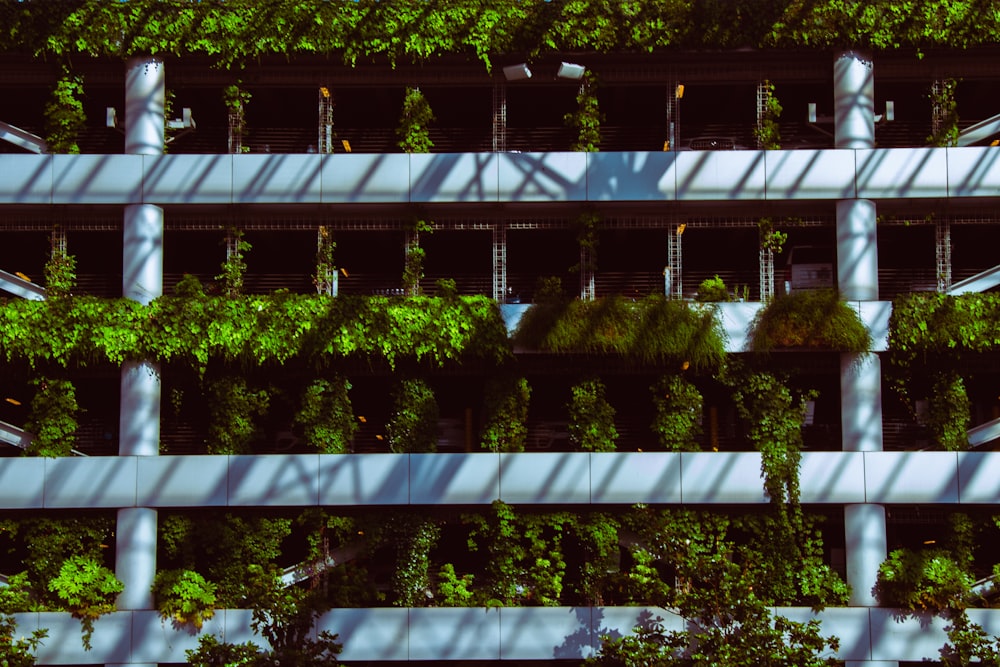 a building with a bunch of plants growing on the side of it