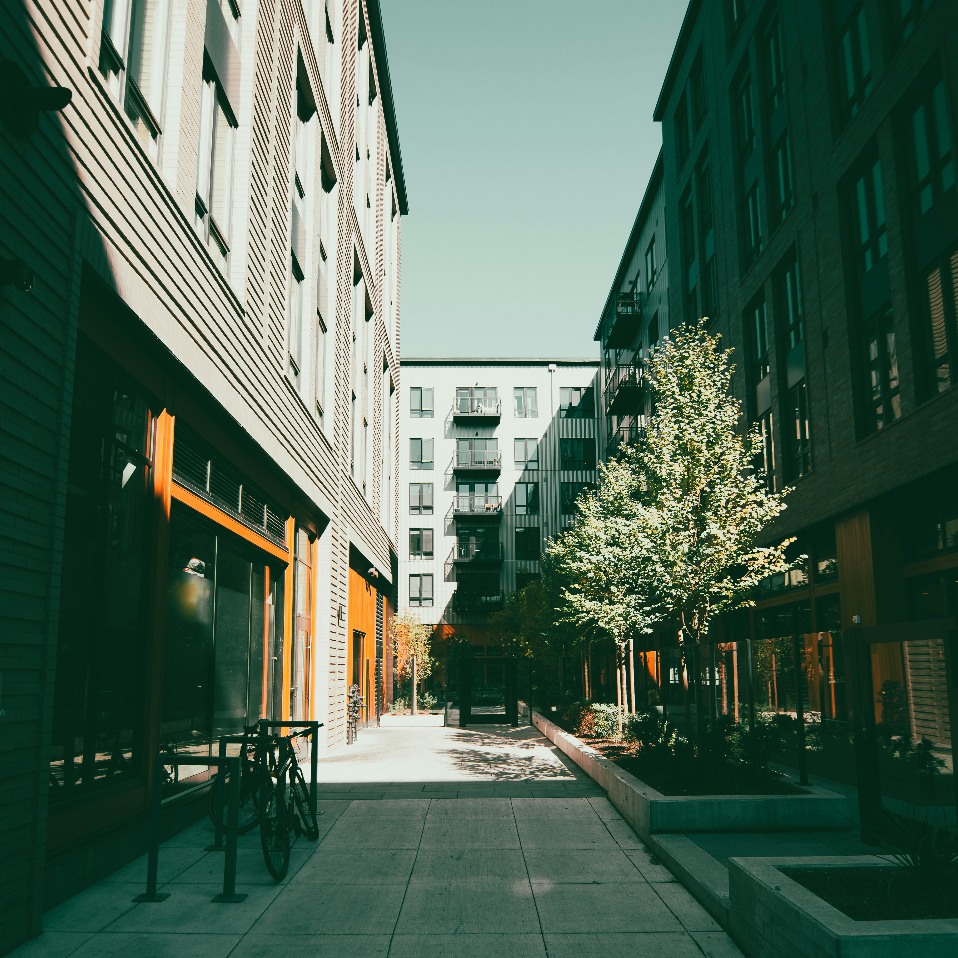 a narrow city street lined with tall buildingsby Jon Champaigne