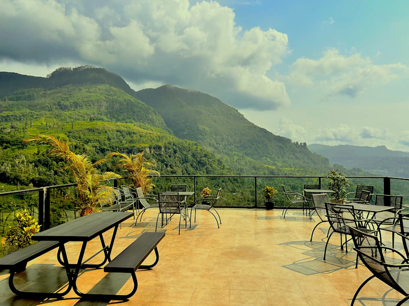 Best Rooftop Cafes in Ranthambore With Views Worth the Climb