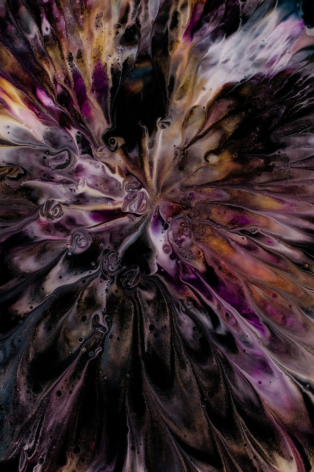 a close up of a purple and black flower