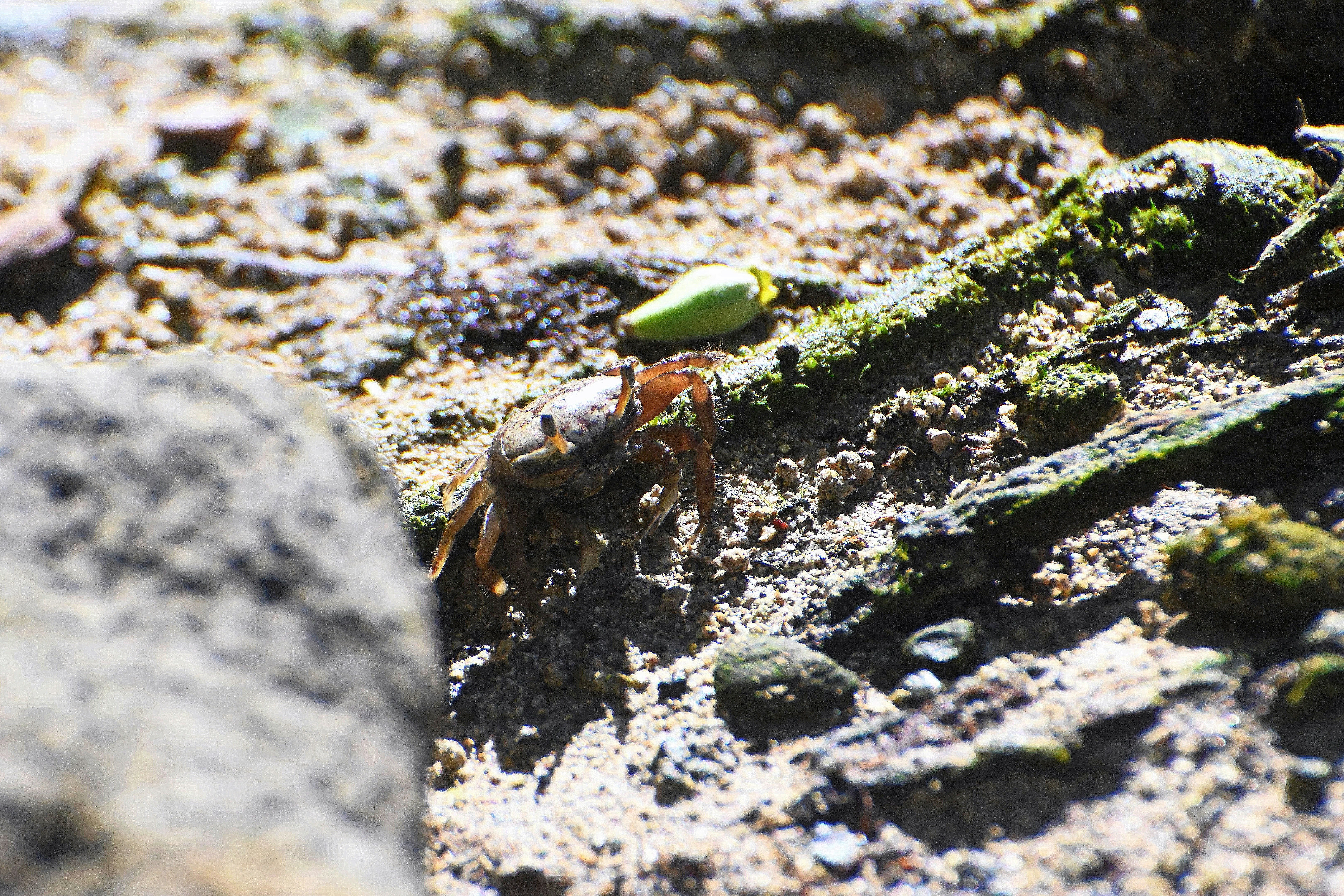 Photo by climatechangevi