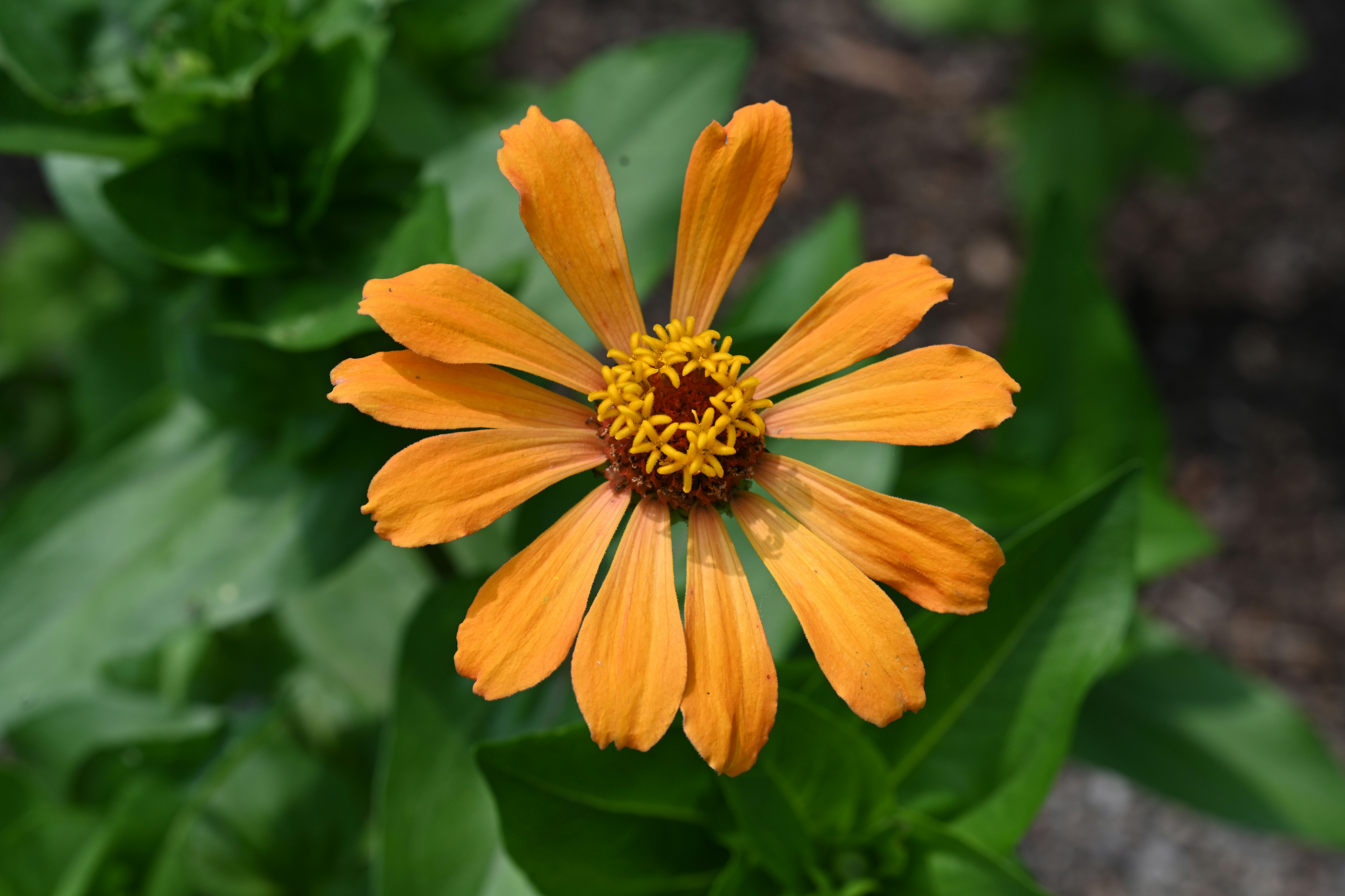 Photo by theunknownaldiaz