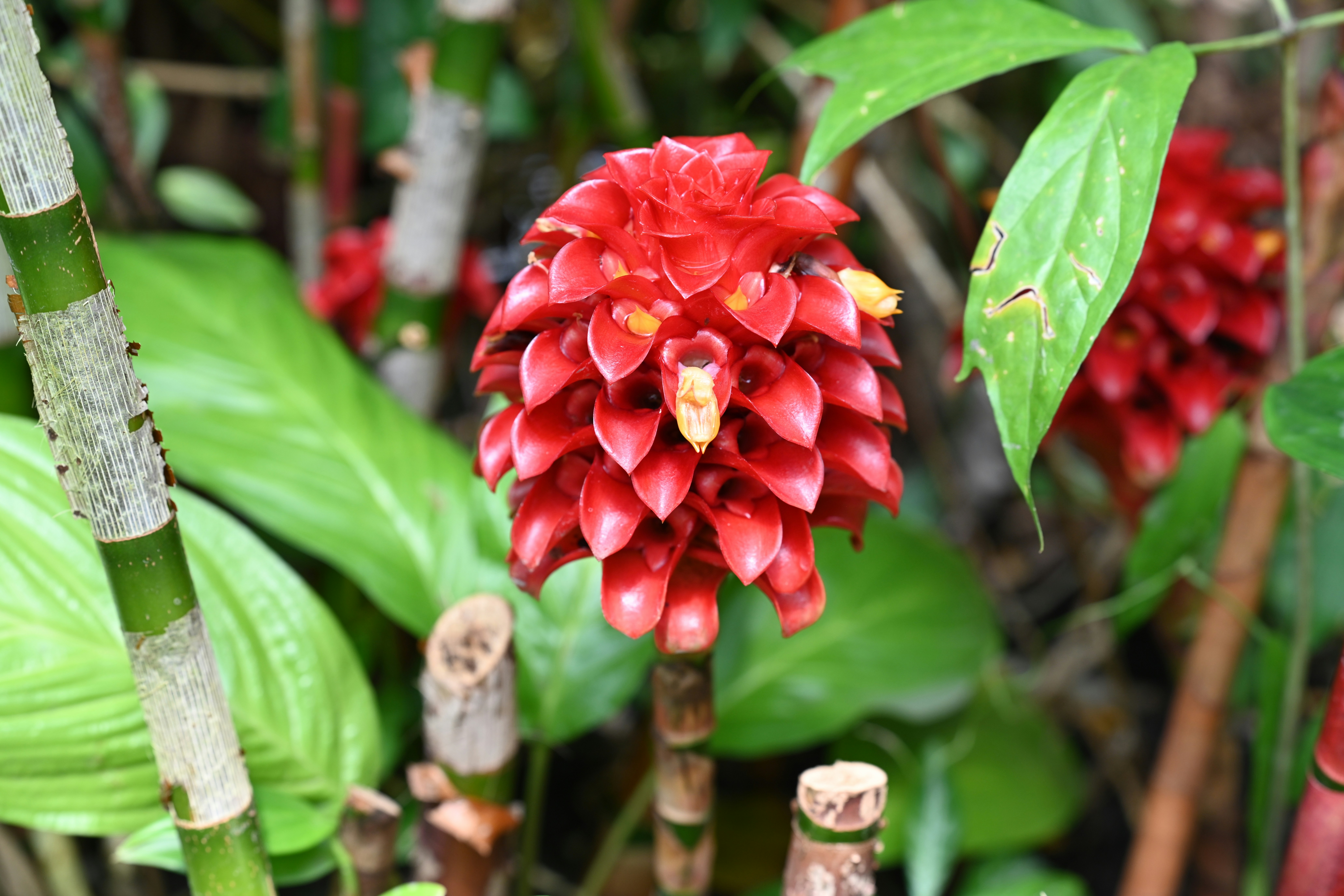 Photo by theunknownaldiaz