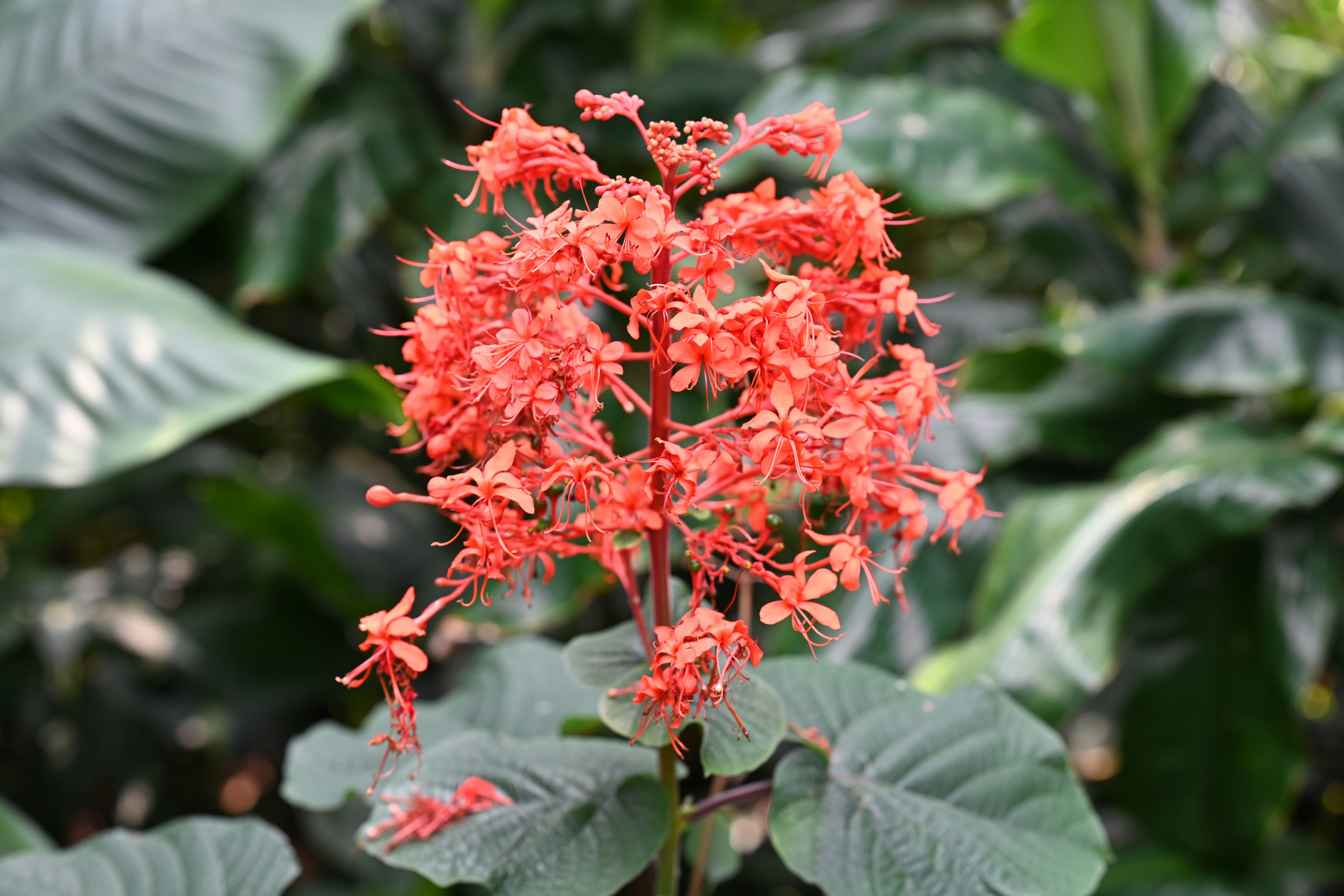 Photo by theunknownaldiaz