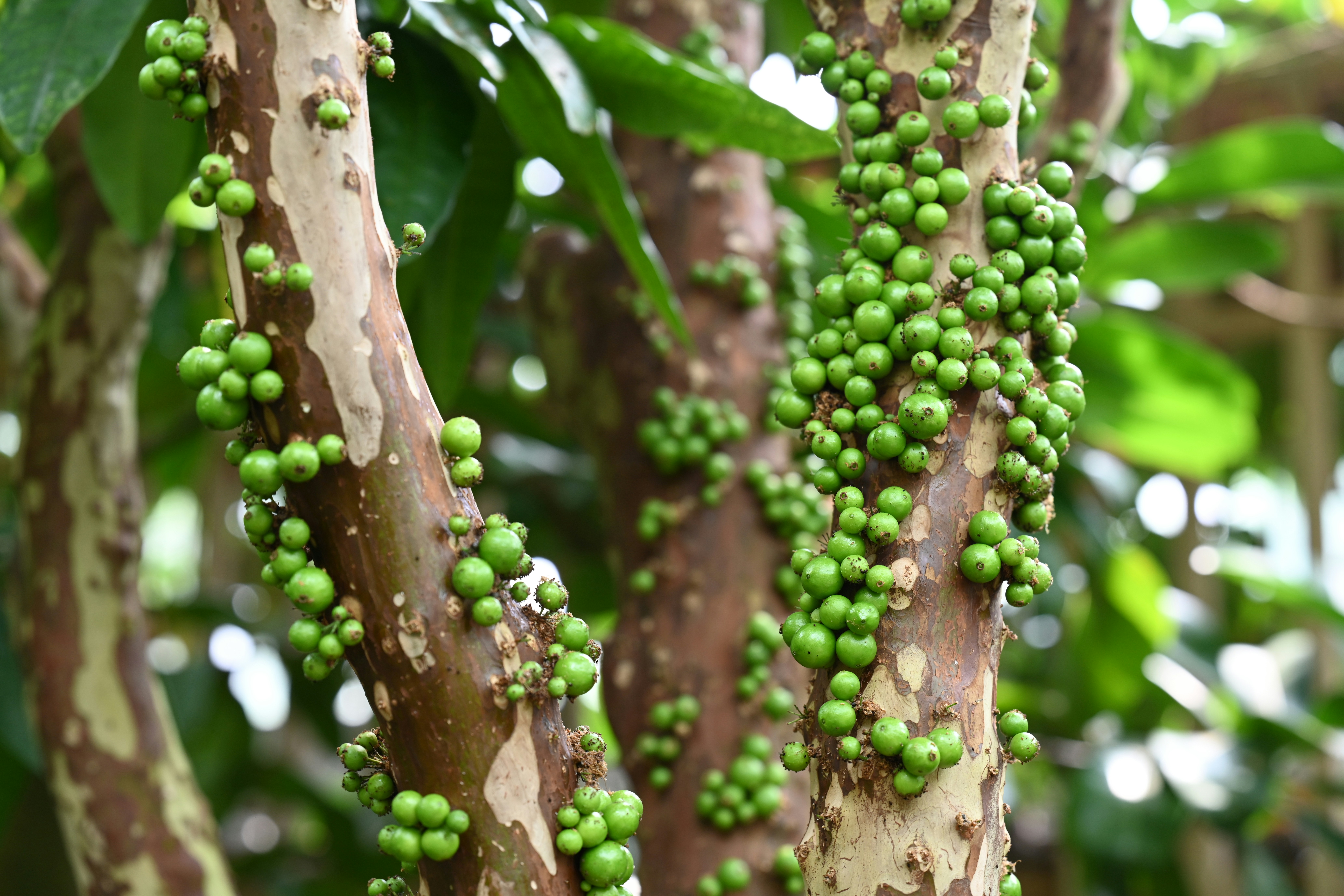 Photo by theunknownaldiaz