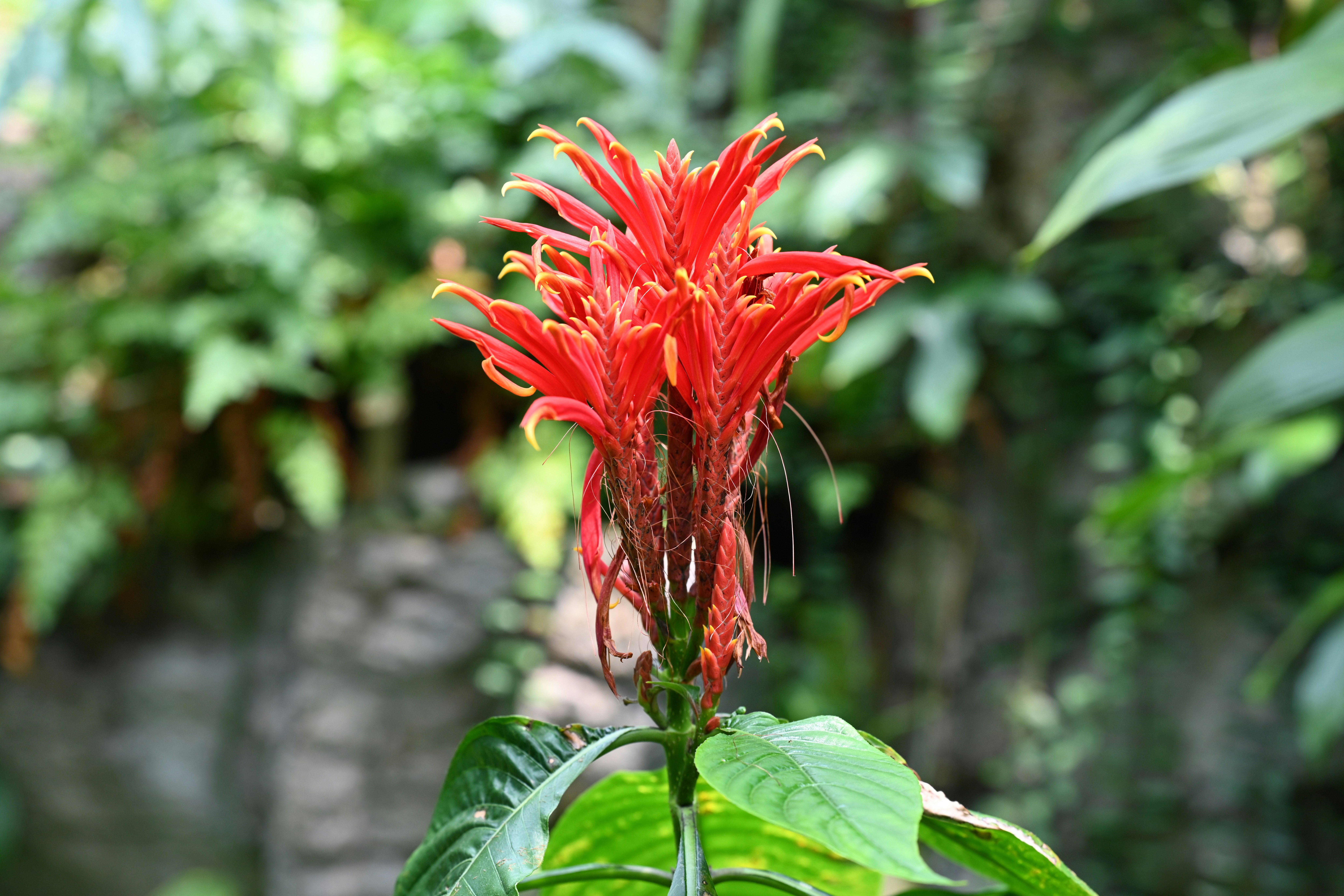 Photo by theunknownaldiaz