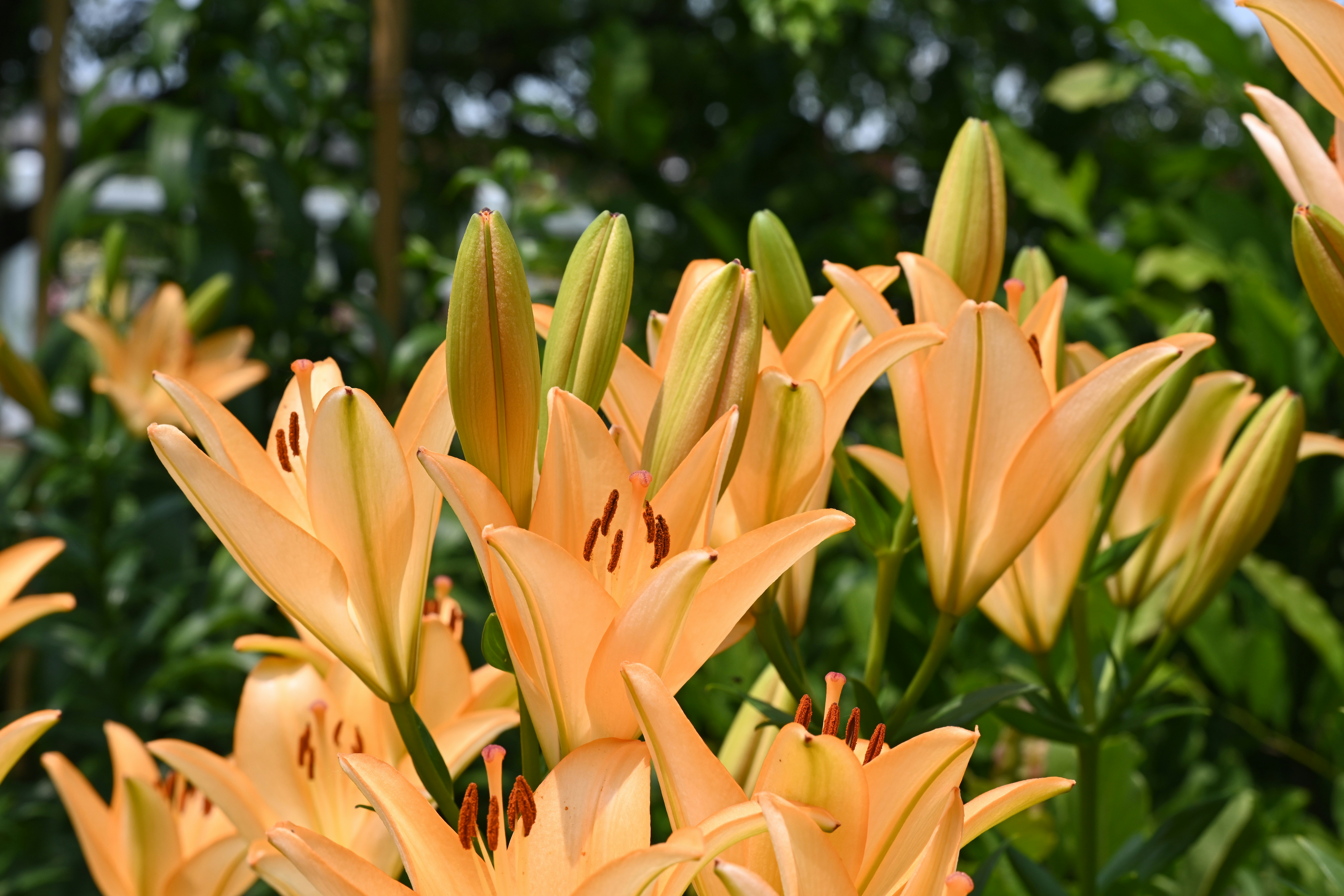 Photo by theunknownaldiaz