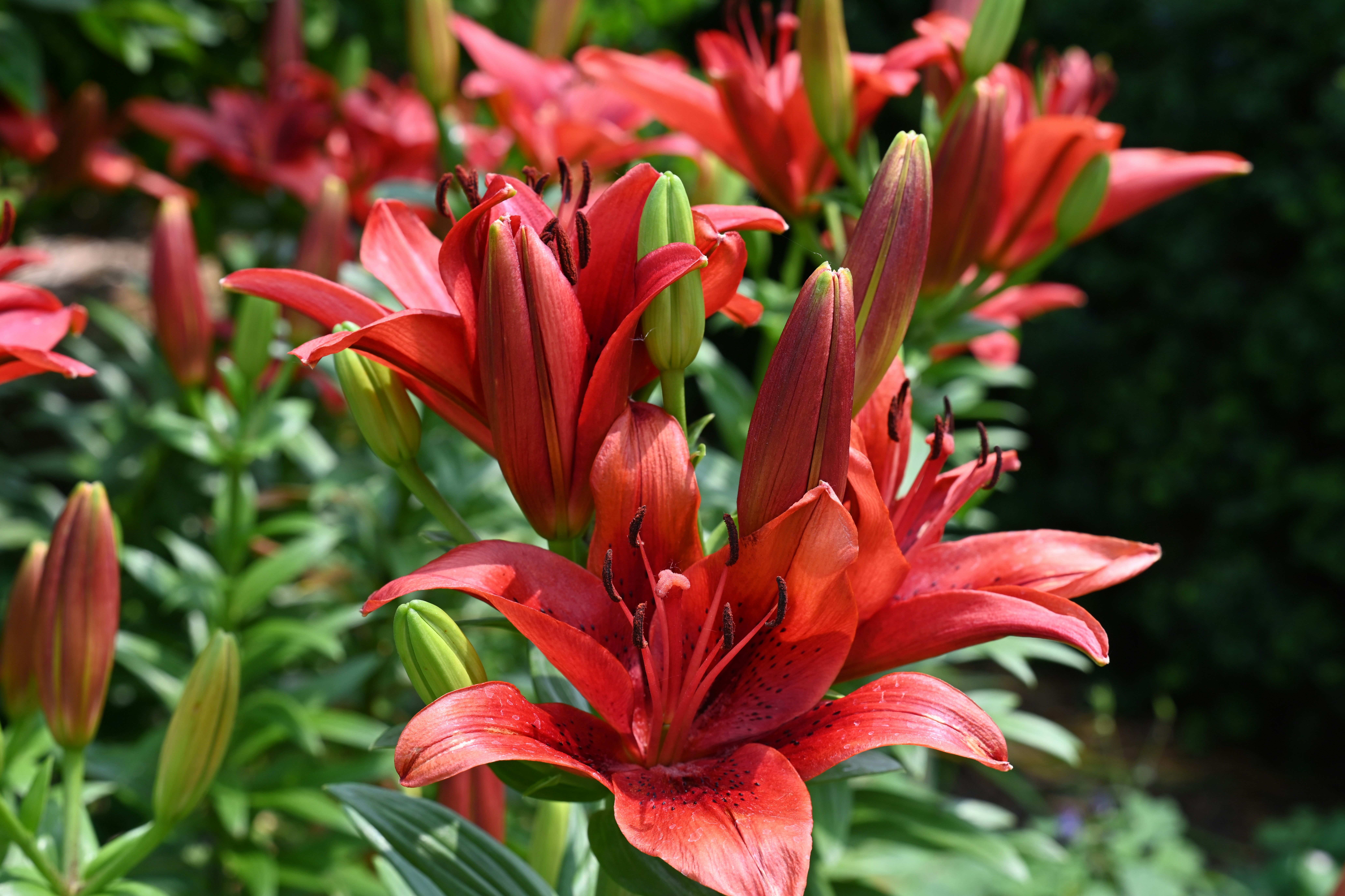 Photo by theunknownaldiaz