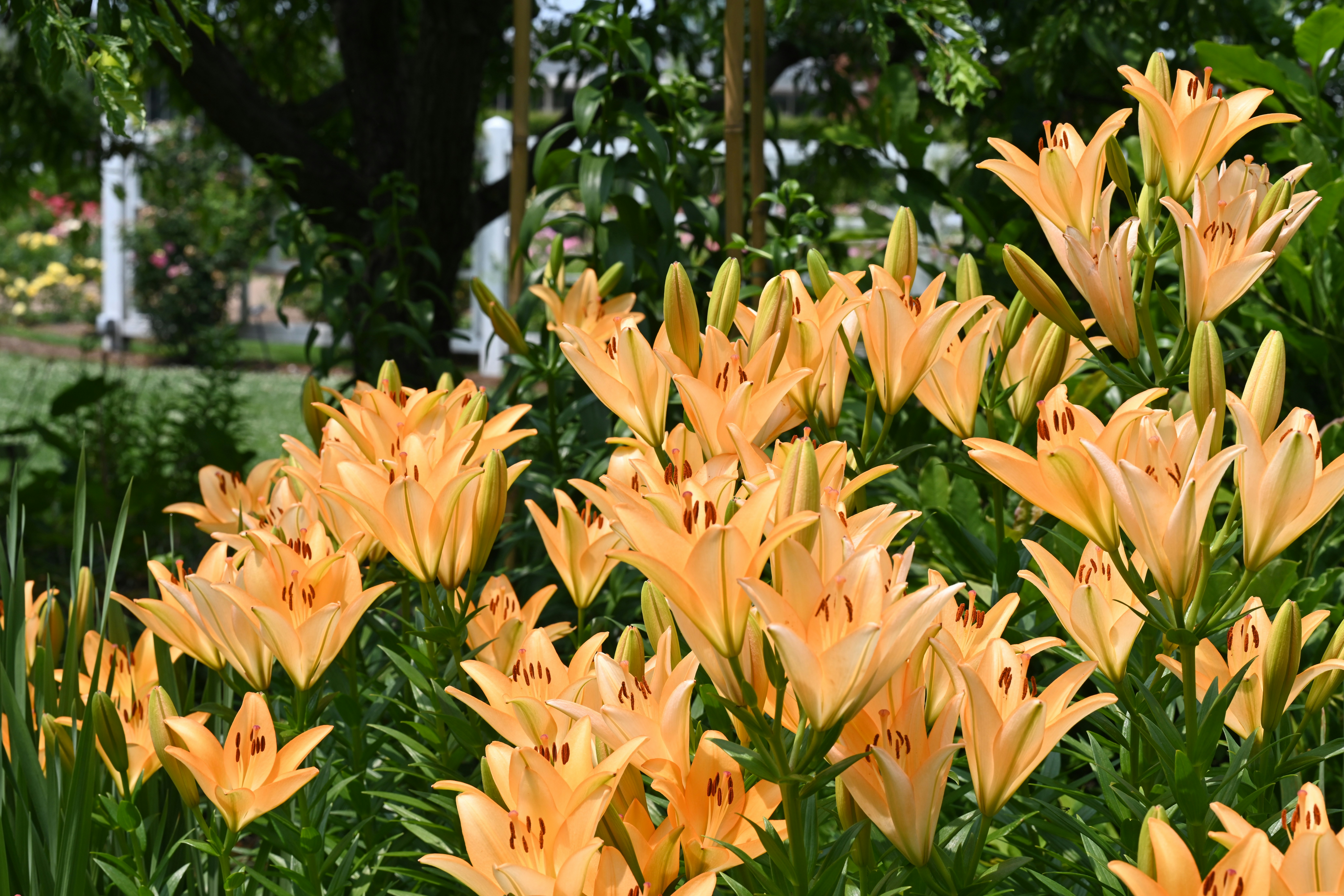 Photo by theunknownaldiaz