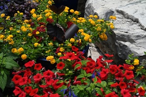A vibrant garden corner showcasing a mix of grasses, flowers, and decorative stones.
