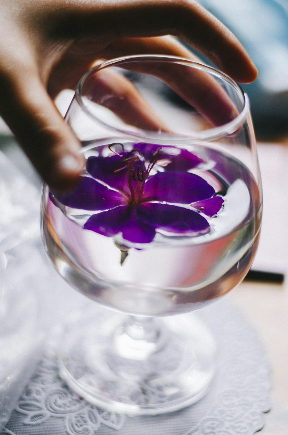 a person holding a purple flower in a wine glass