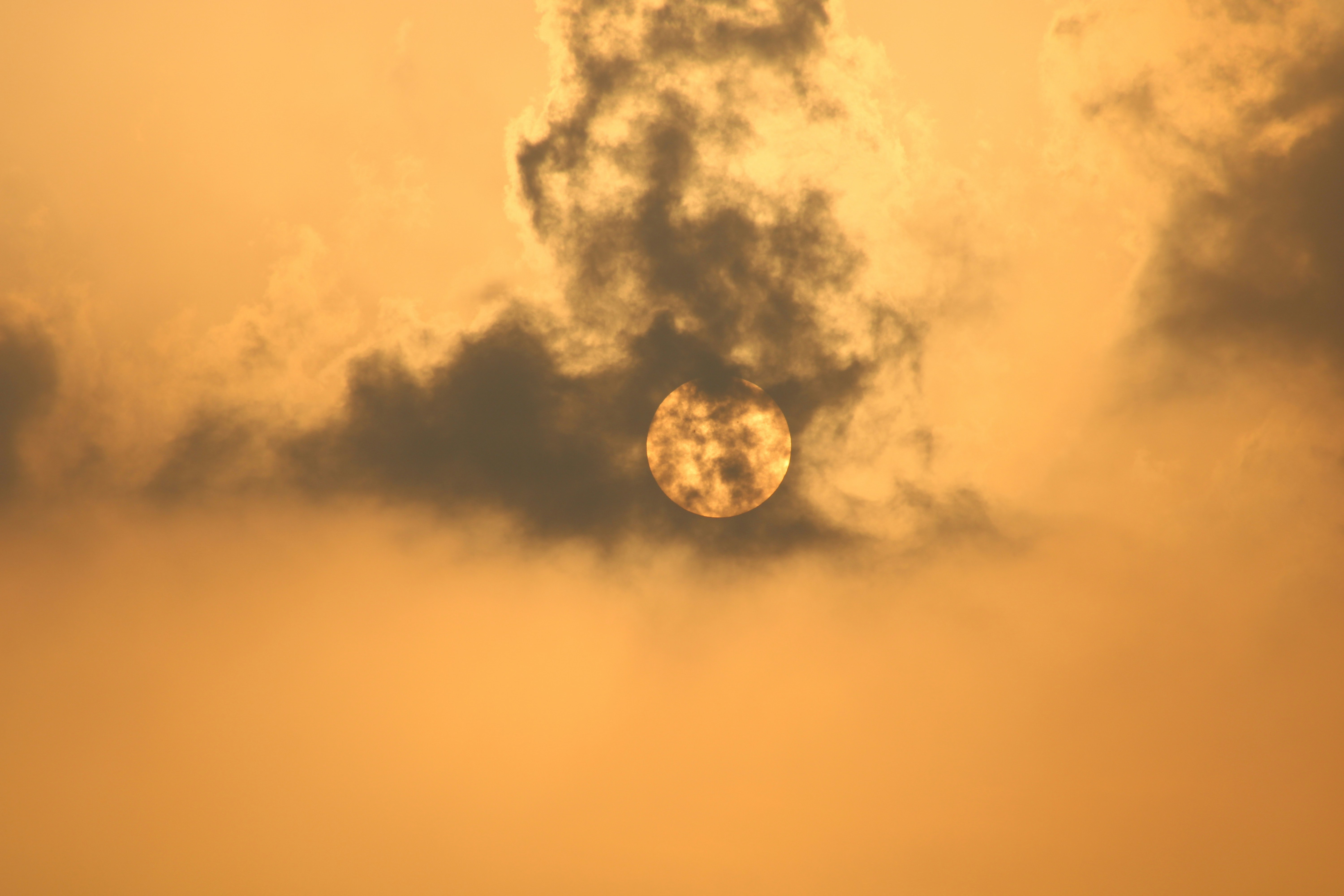 Photo by photoloveramico