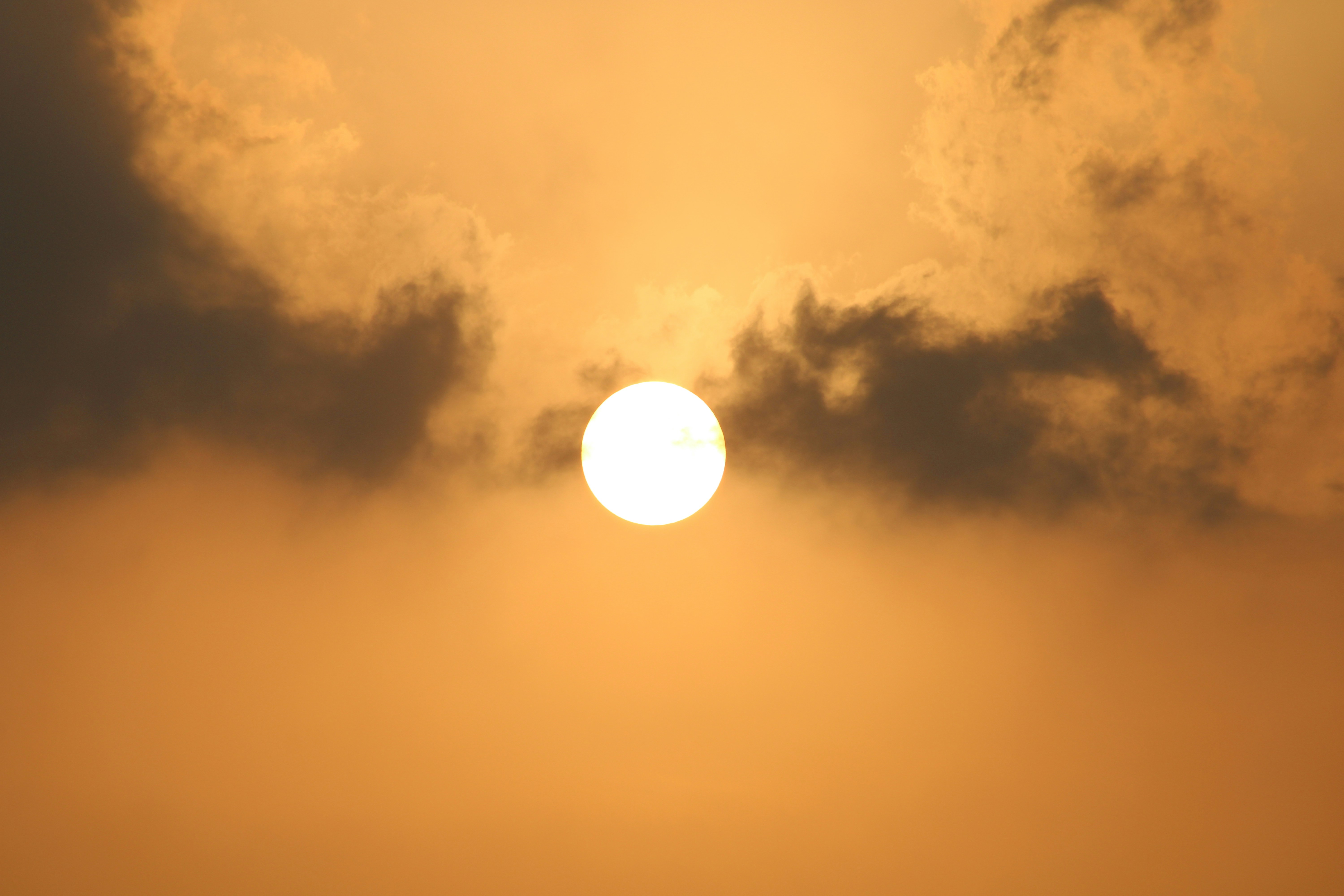 Photo by photoloveramico