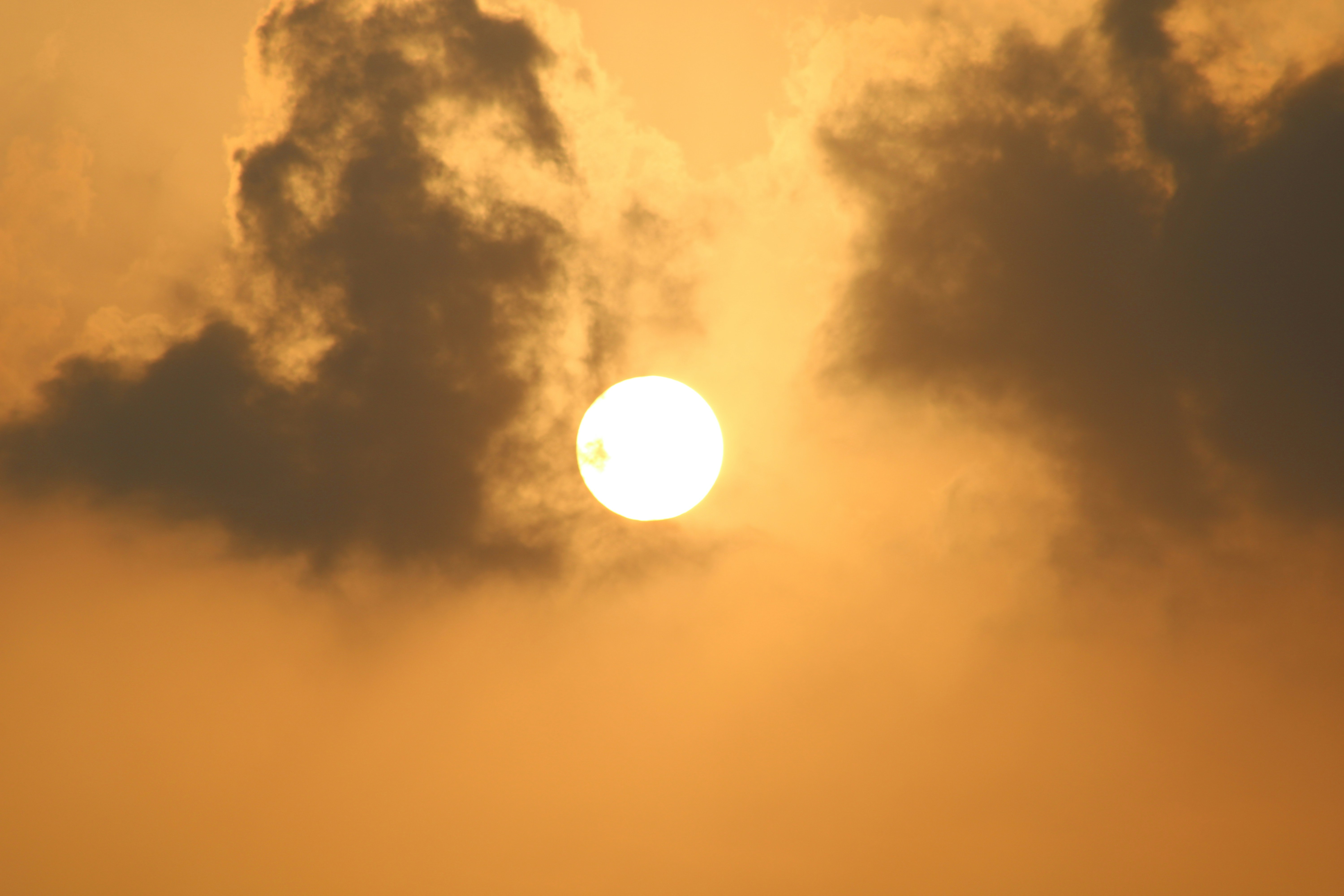 Photo by photoloveramico