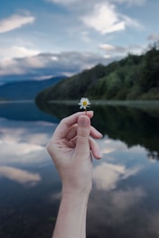 a person's hand holding a small flower over a body of water