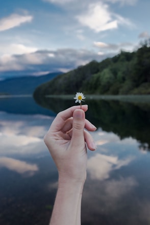 a person's hand holding a small flower over a body of water