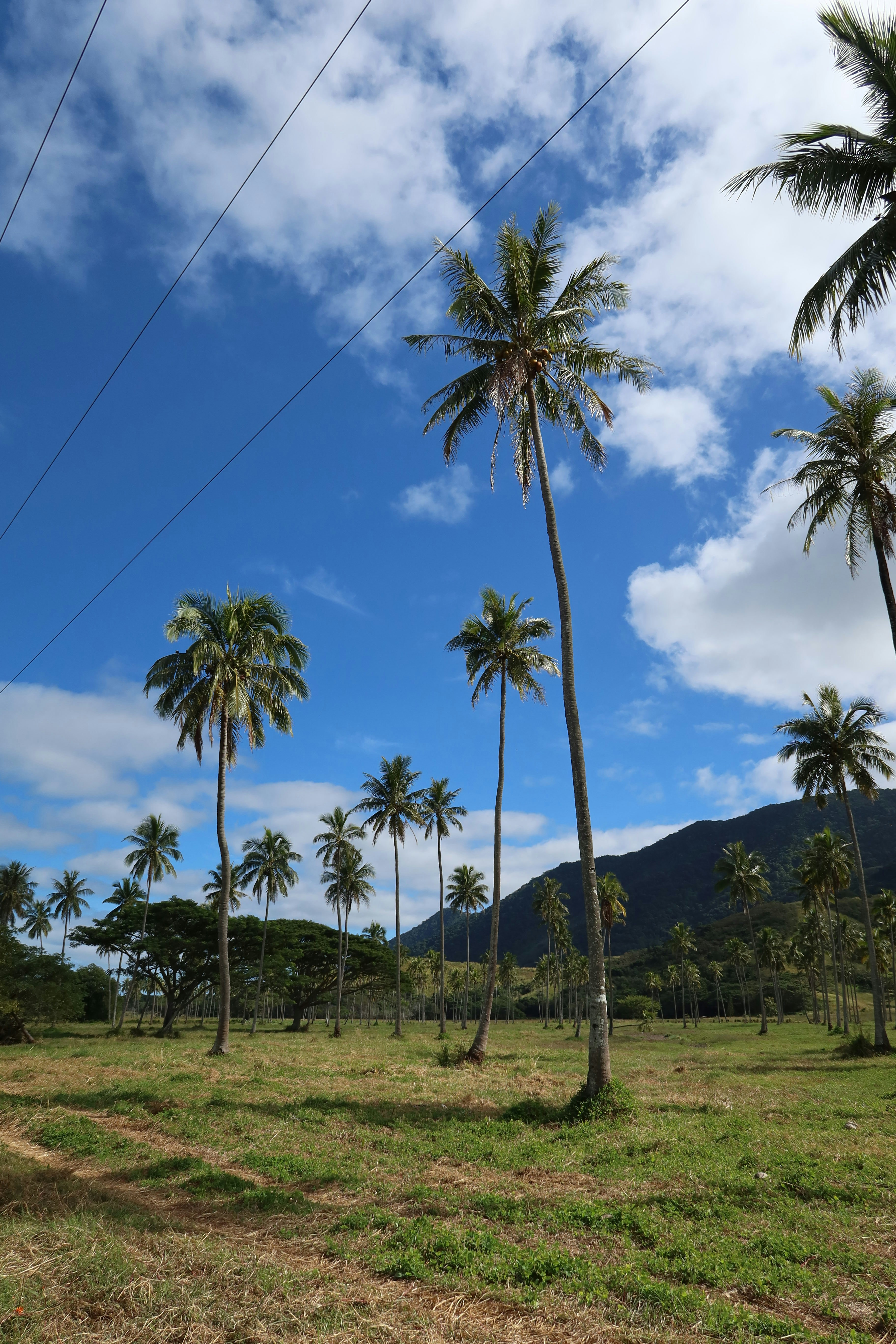 Photo by eddyinpasifika