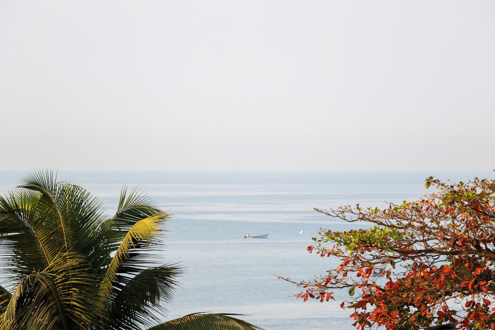 a view of a body of water with a boat in the distance