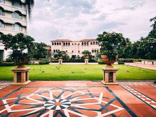 A landscaped garden area with a lush green lawn surrounded by a symmetrical arrangement of plants in large decorative pots. The scene is framed by a patterned tiled walkway in the foreground, with an ornate building featuring arches and multiple windows in the background. Birds are scattered on the grass, and a few are in flight.