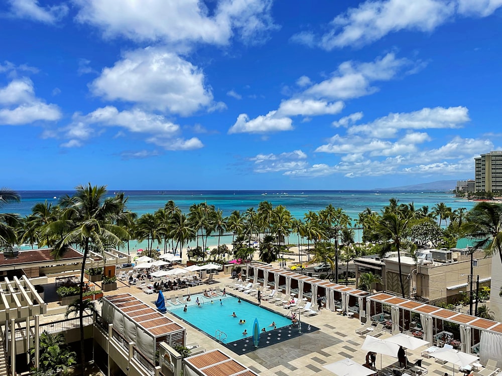 a large swimming pool surrounded by palm trees