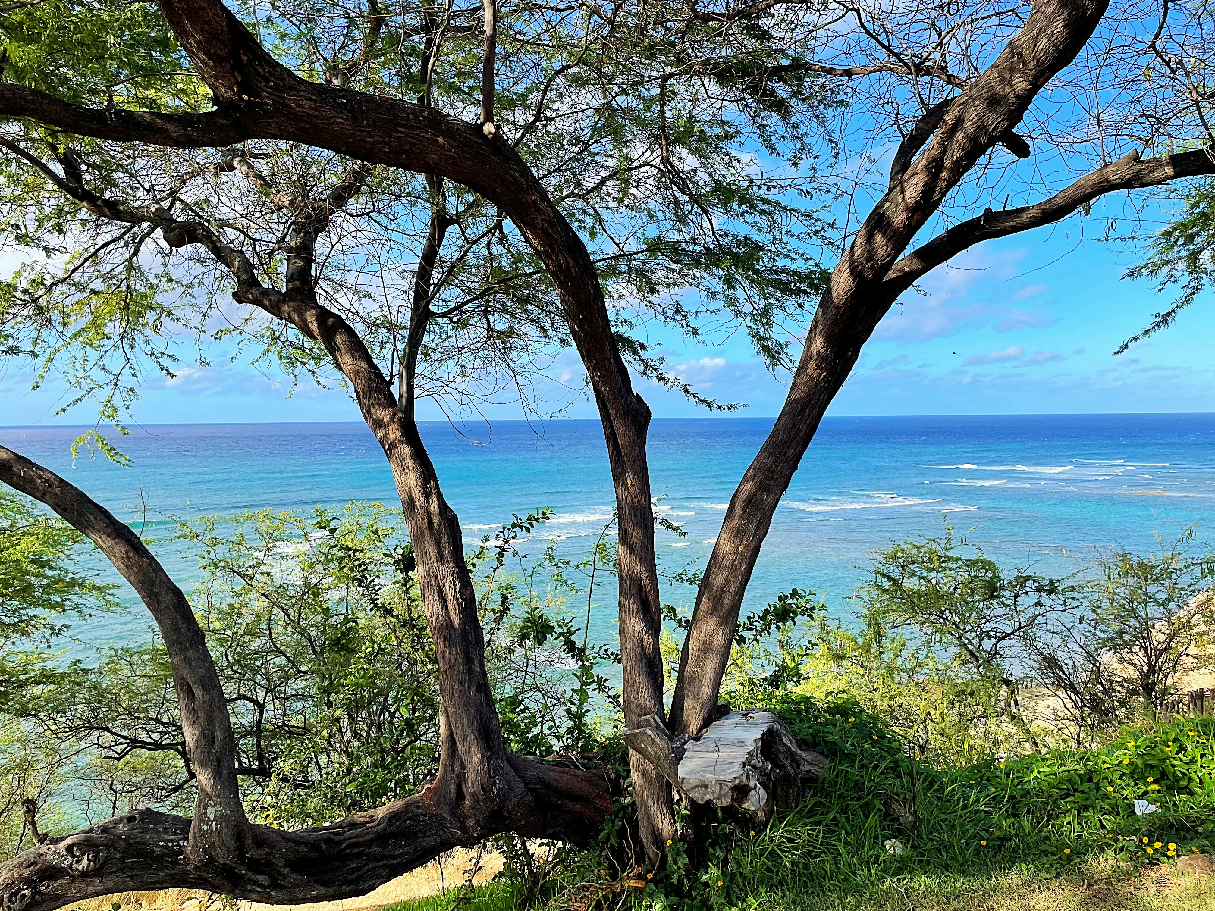 Photo by raymondmeaguirre