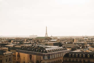 A serene view of Paris showcasing its iconic architecture.