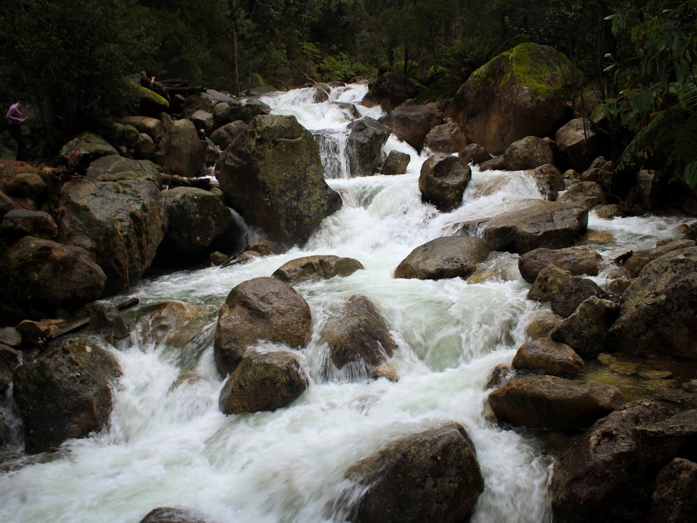 a man standing on a rock in the middle of a river