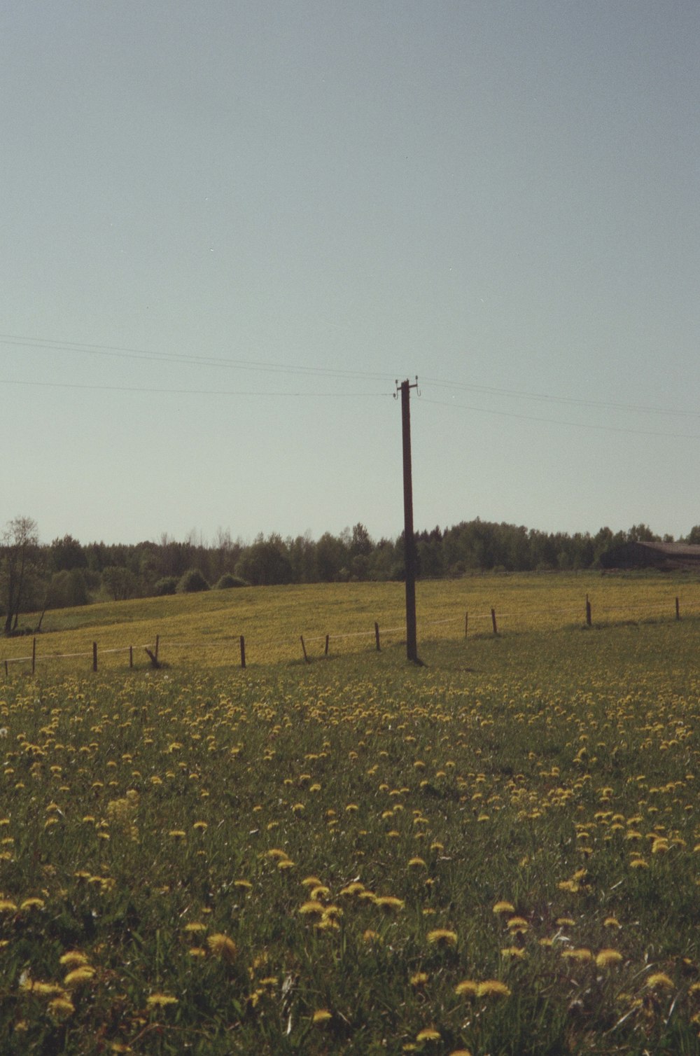 a field with a telephone pole in the middle of it