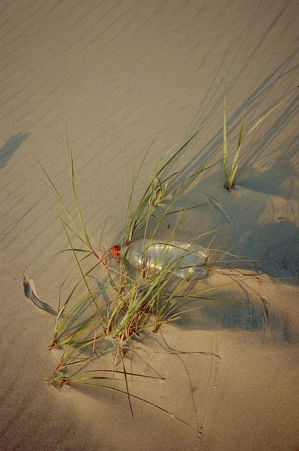 a bottle sitting on top of a sandy beach