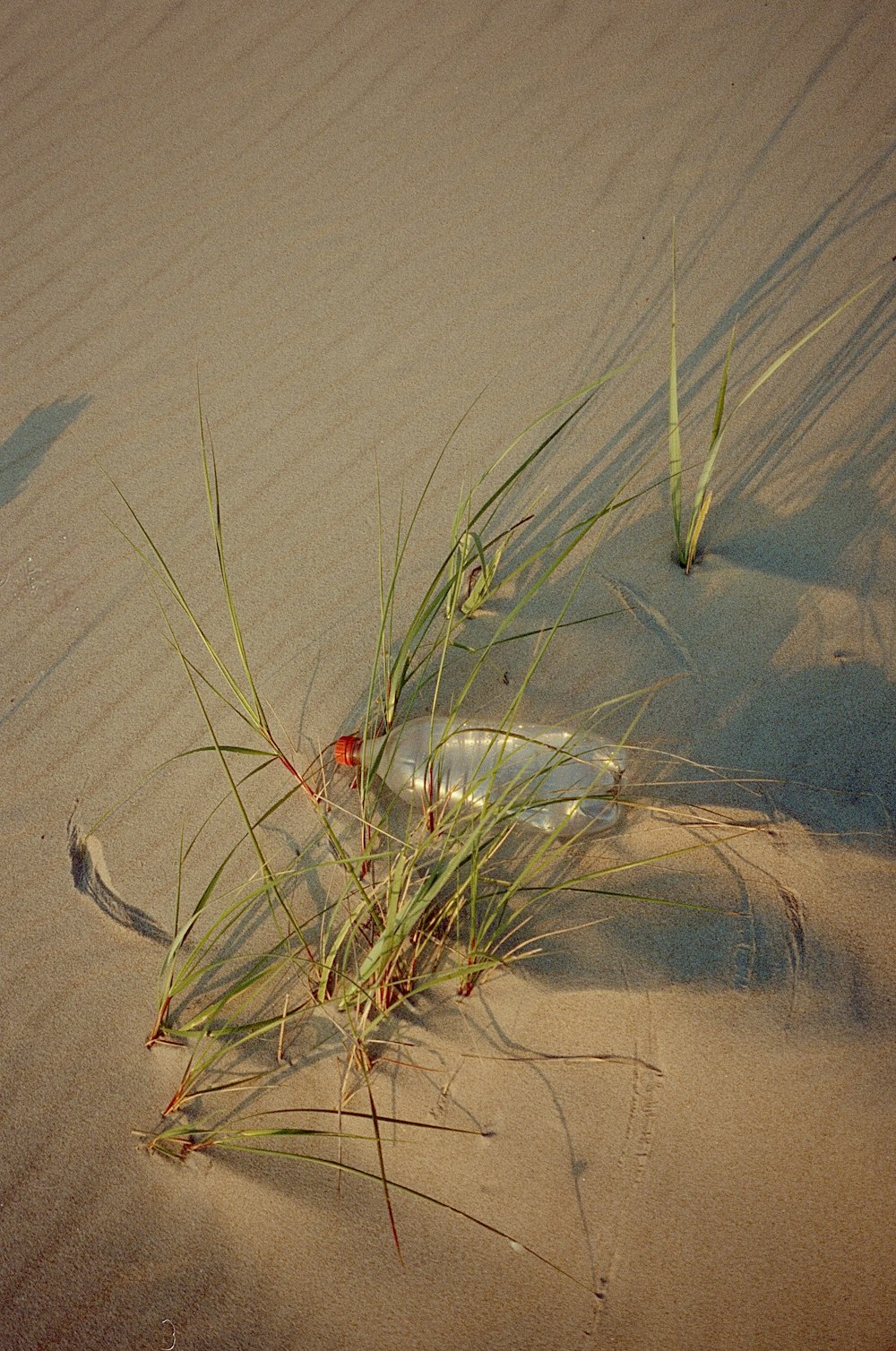una bottiglia seduta sulla cima di una spiaggia sabbiosa