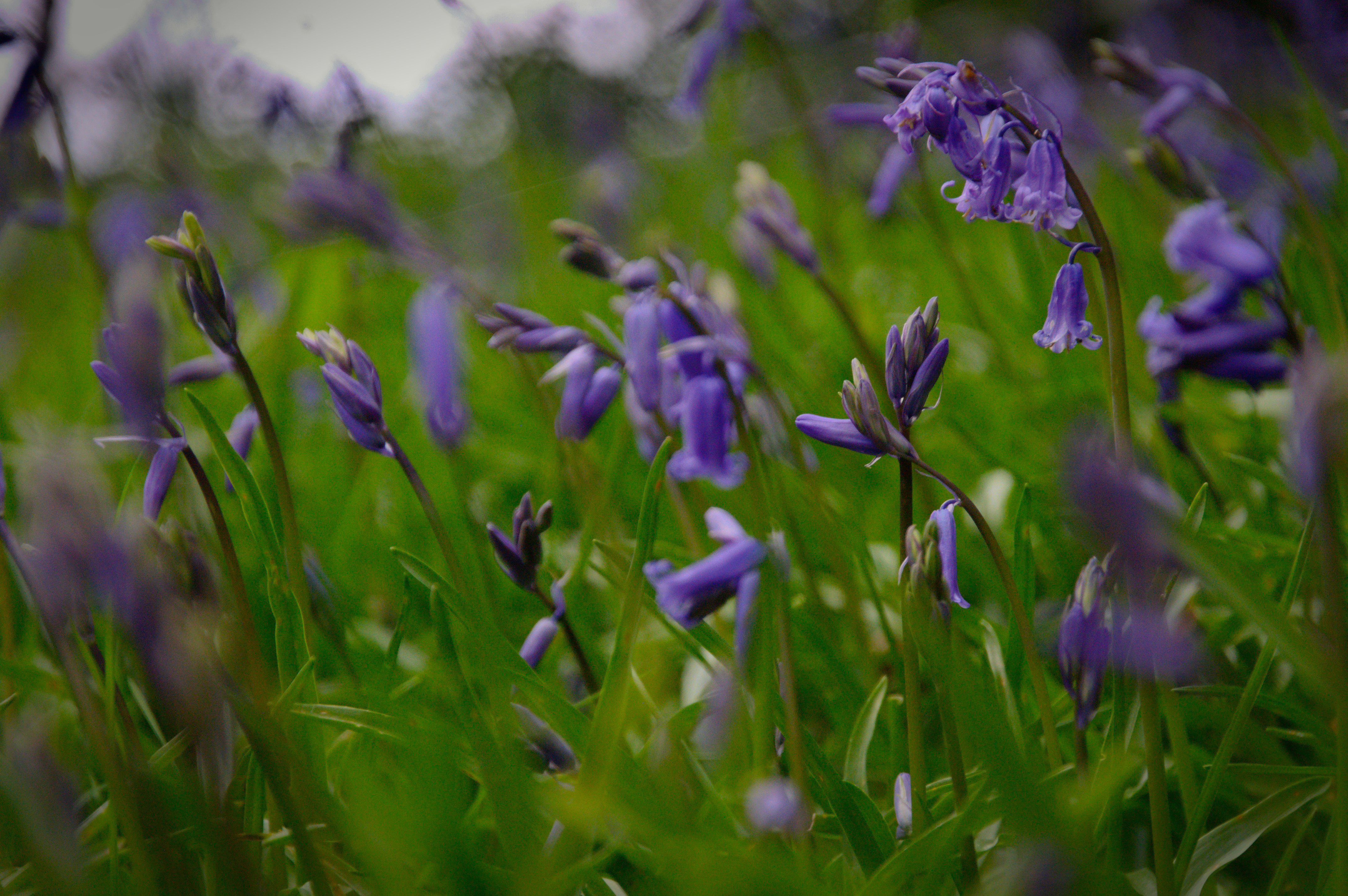 Photo by mitchcaptureimagery