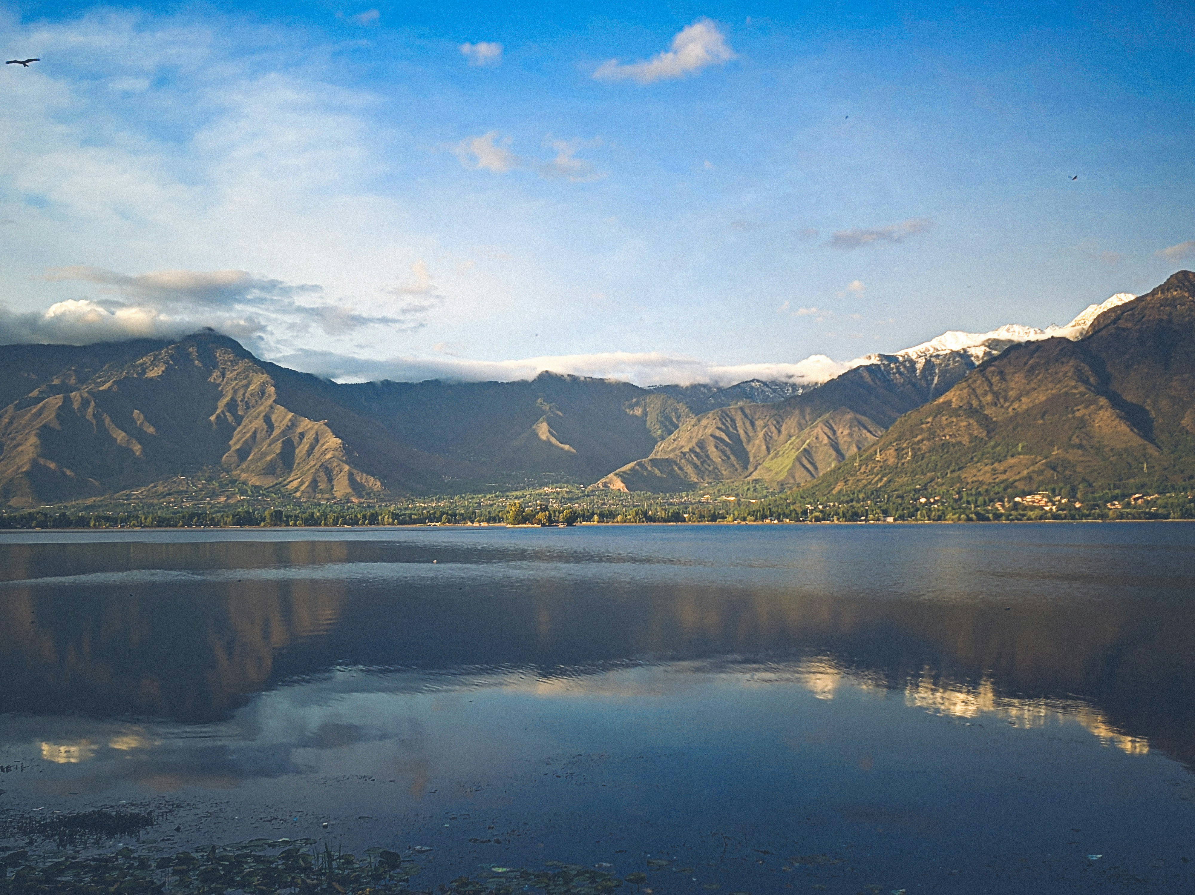 Photo by aayush_khokhar