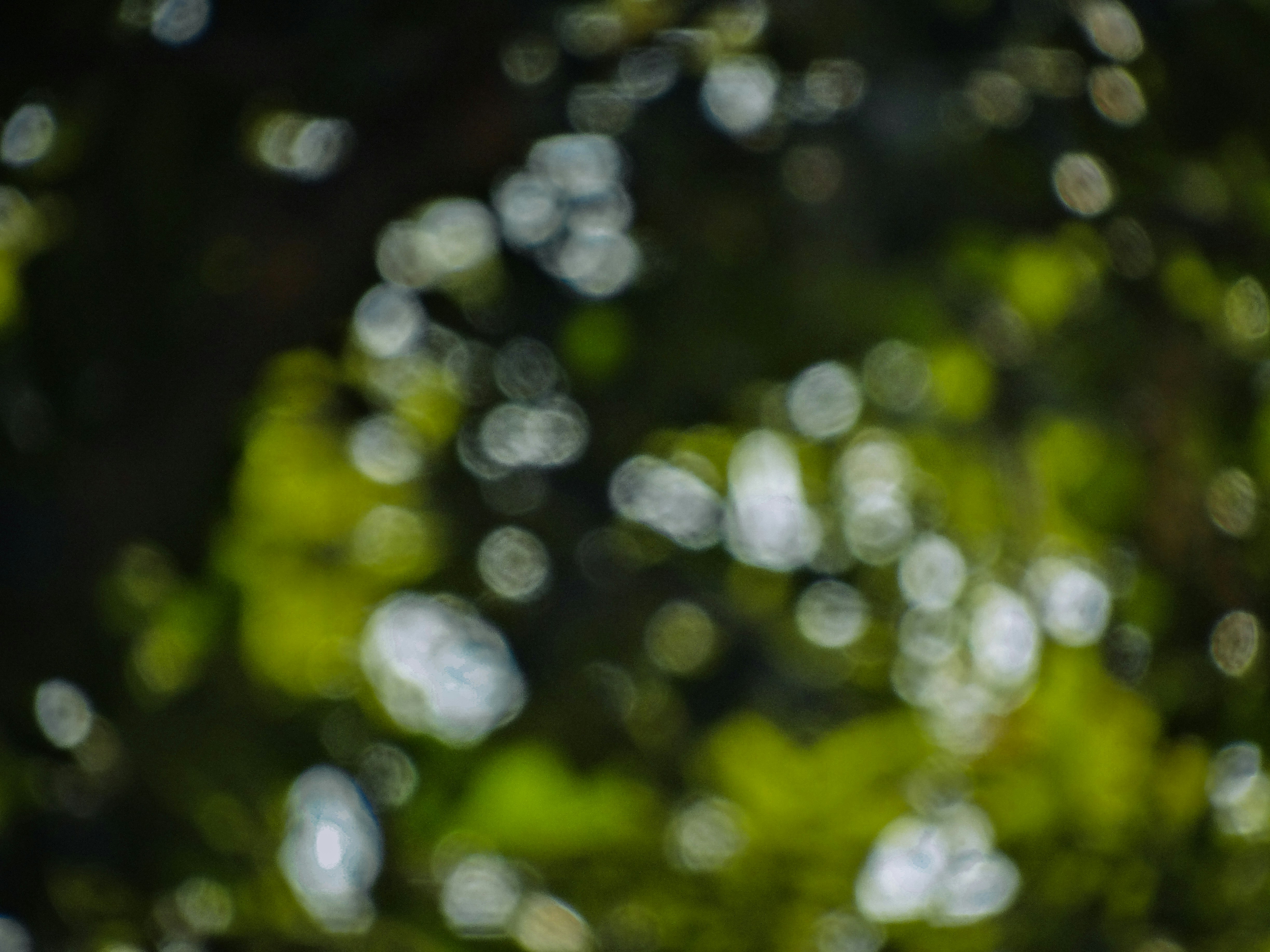 Photo by aayush_khokhar