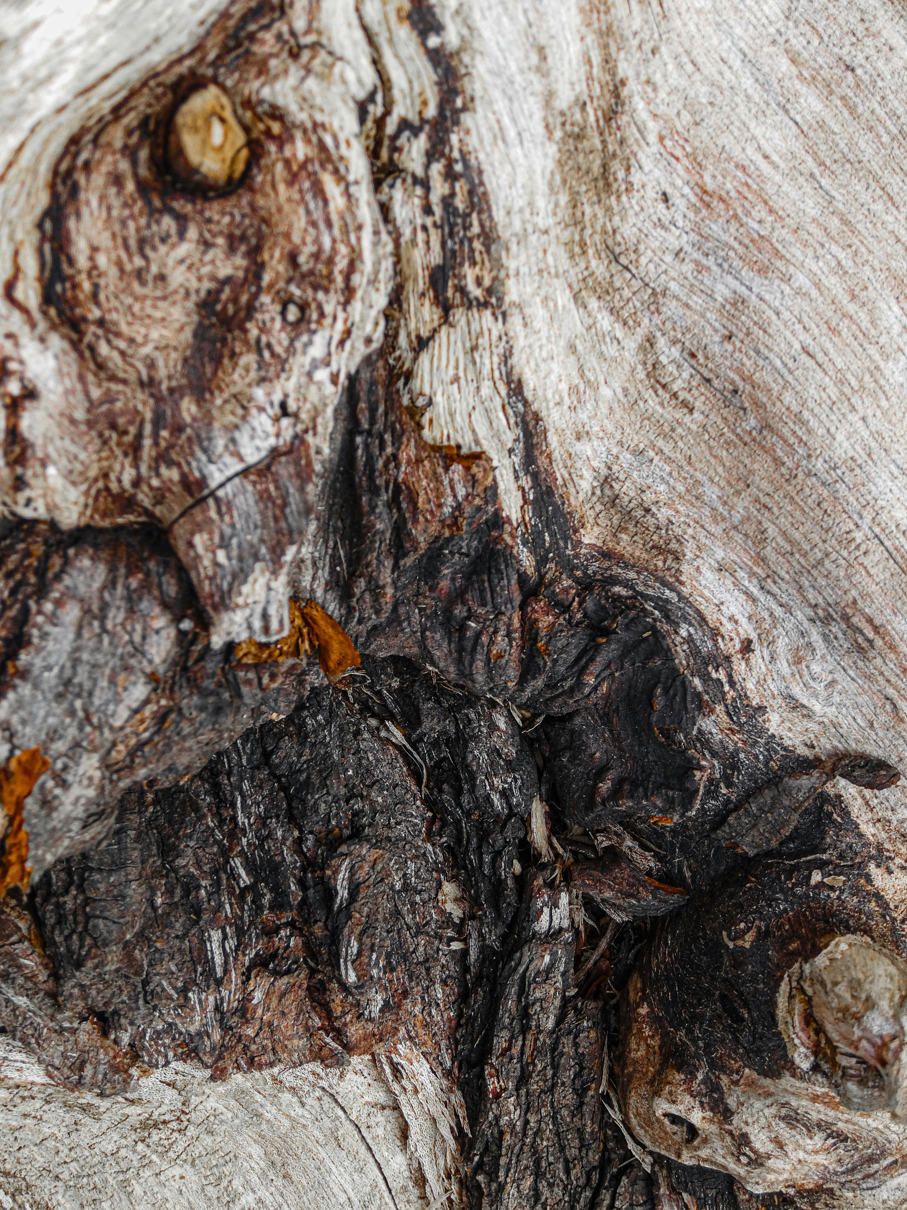 Photo by aayush_khokhar