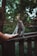 A joyful visitor interacting with a playful monkey in a lush forest setting.