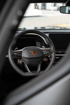 A stylish PBV steering wheel showcasing modern design.
