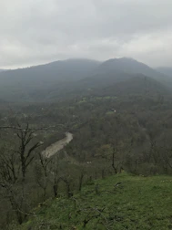 A serene landscape of the Vall d’en Bas with rolling hills and dense oak forests.