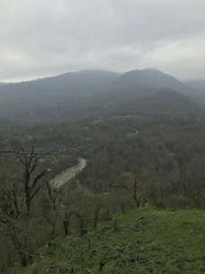 A serene landscape of the Vall d’en Bas with rolling hills and dense oak forests.
