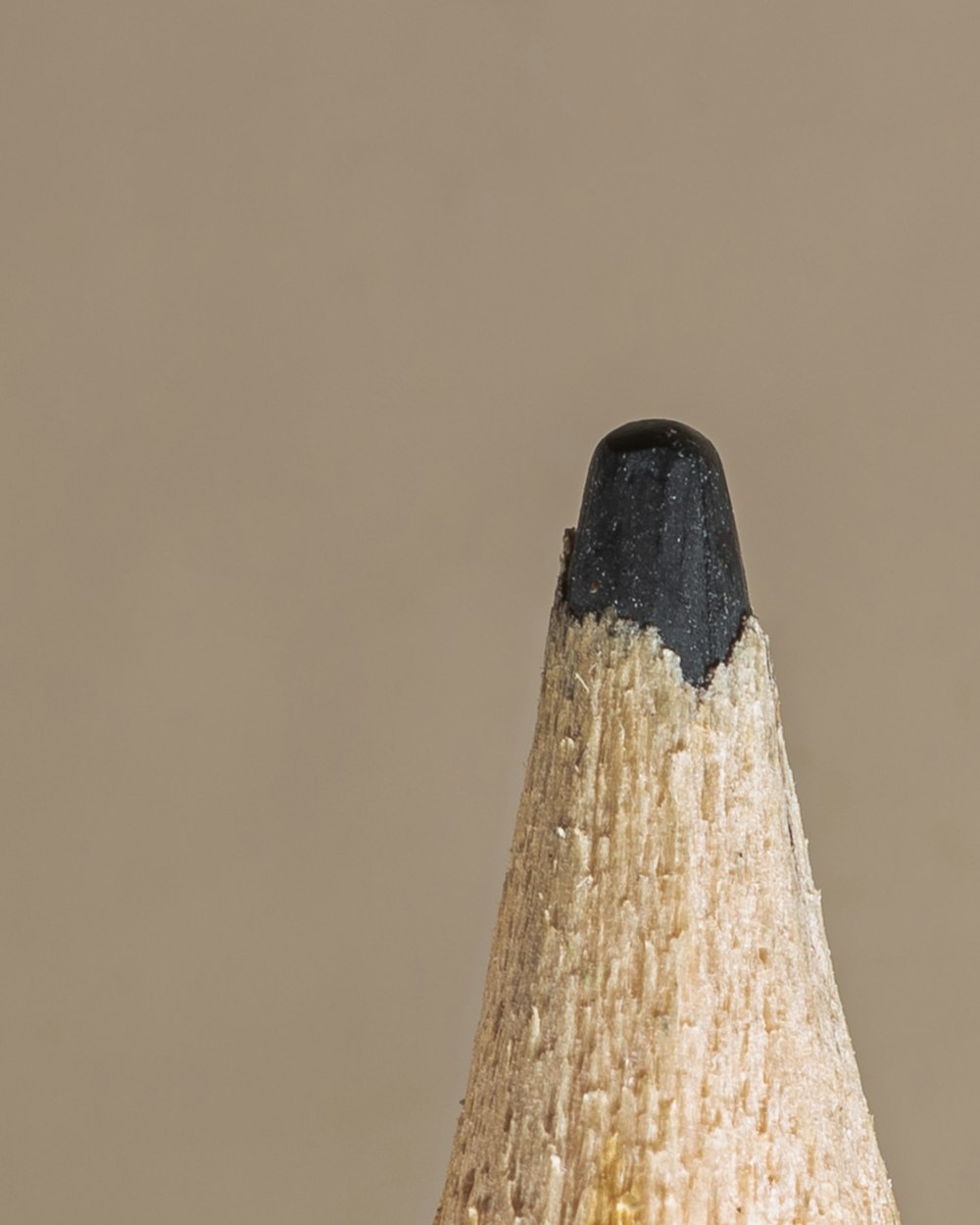 a close up of a pencil with a black tip