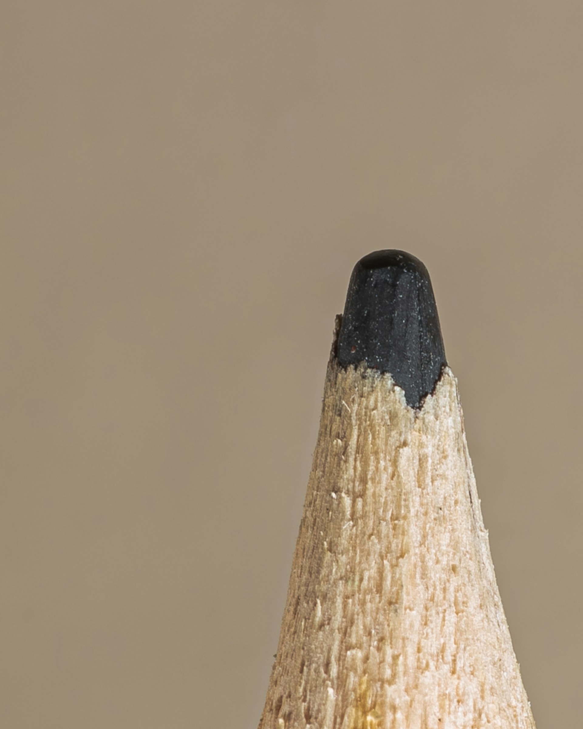Close-up of a hand holding a finely crafted wooden pencil with a smooth, polished finish and a delicate engraved pattern.