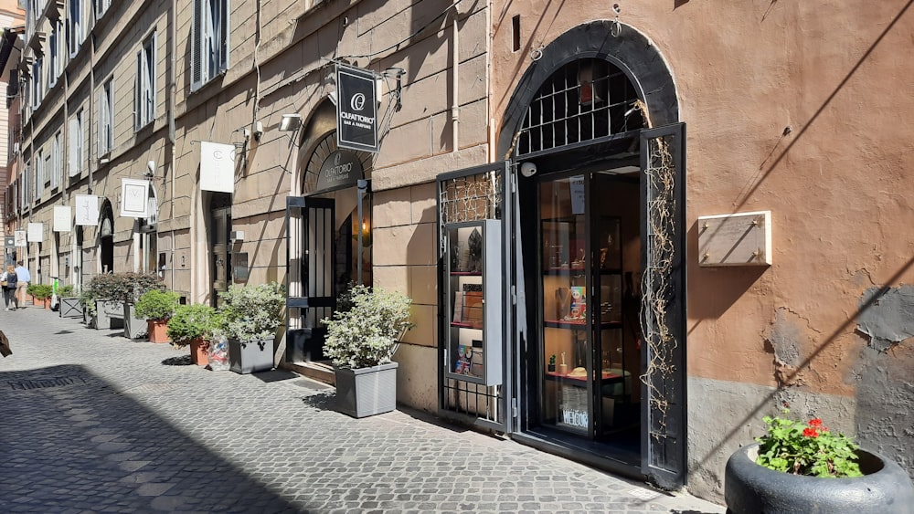 a narrow street with potted plants on the side of it