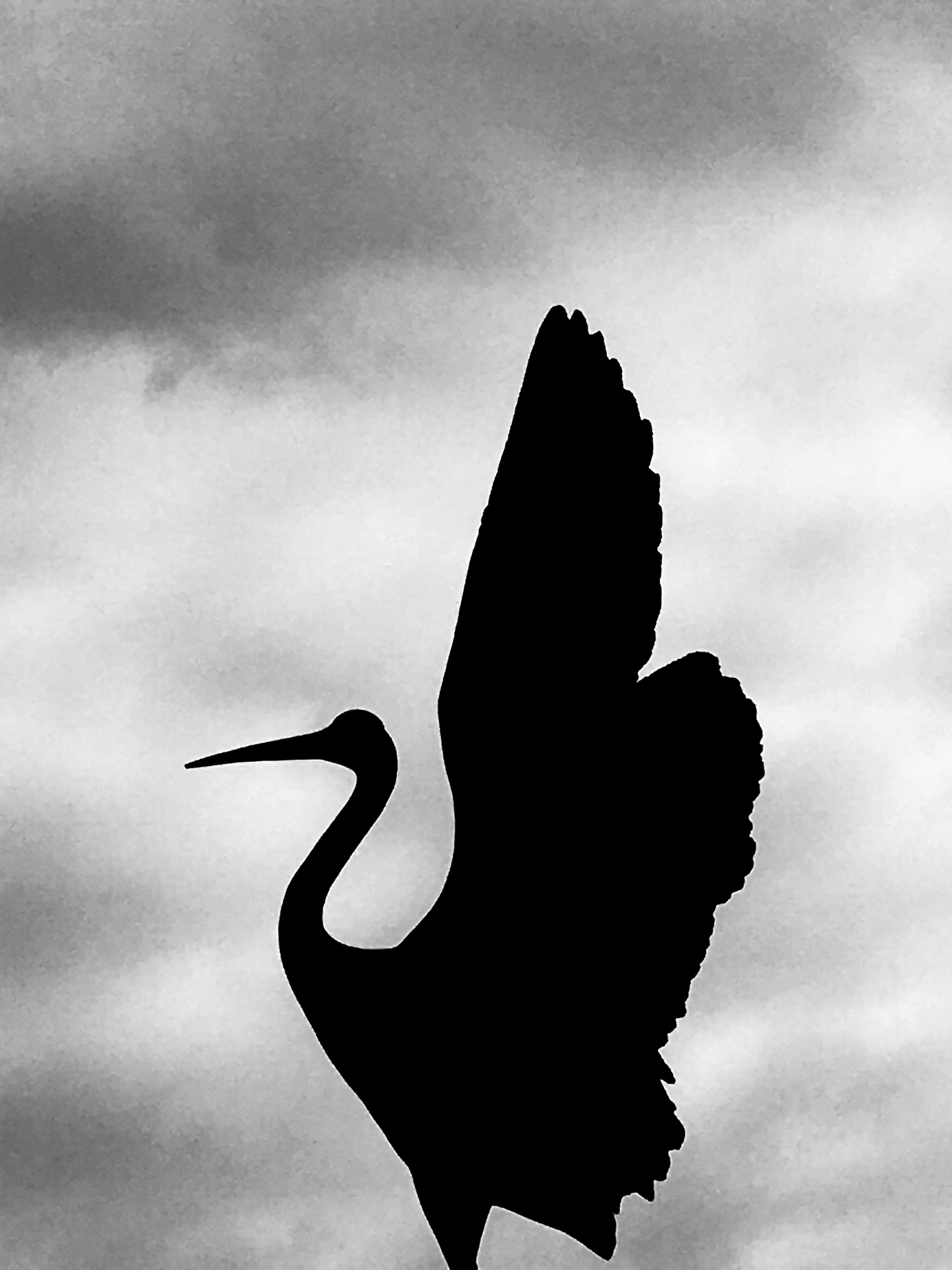 Photo by between_worlds