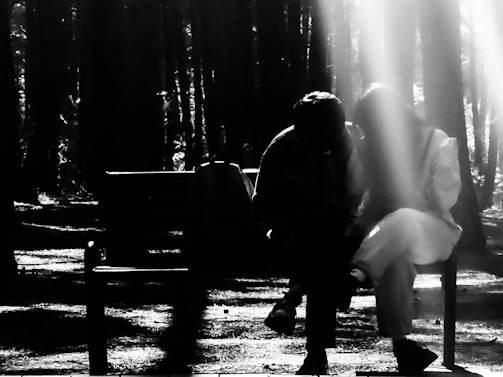 Two strangers sharing a quiet conversation on a wooden bench surrounded by tall trees and soft sunlight.