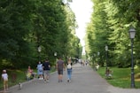 a group of people walking down a tree lined street